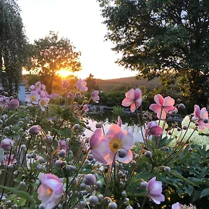 https://dashausderfloristin.luxembourghotelsguide.com